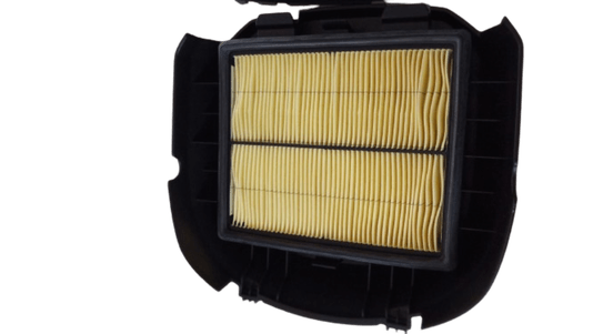 Filtro de Ar Completo Motor Buffalo BFGE 23 Pro Buffalo
