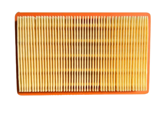 Filtro de Ar Para Cortadores de Grama Buffalo 6 HP