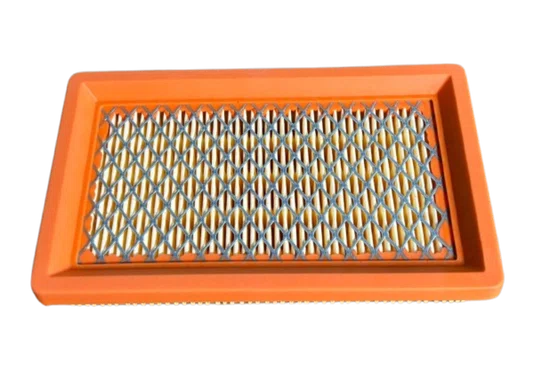 Filtro de Ar Para Cortadores de Grama Buffalo 6 HP