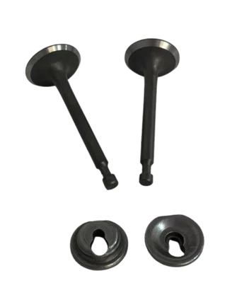 Kit Válvula de Exaustão Admissão Motor Gasolina Nagano