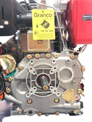 Motor Estacionário Diesel 10 CV  BDE10 BRANCO