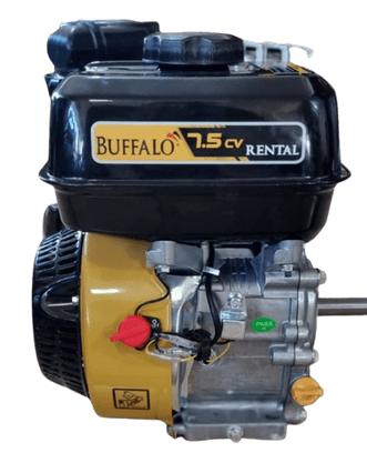 Motor Estacionário Gasolina BFG 4T 7.5 Rental BUFFALO