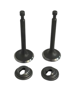 Kit Válvula de Exaustão Admissão Motor Gasolina Motomil