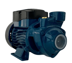 Motobomba Periférica BP60 220V LEPONO