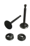 Kit Válvula de Exaustão Admissão Motor Gasolina Motomil